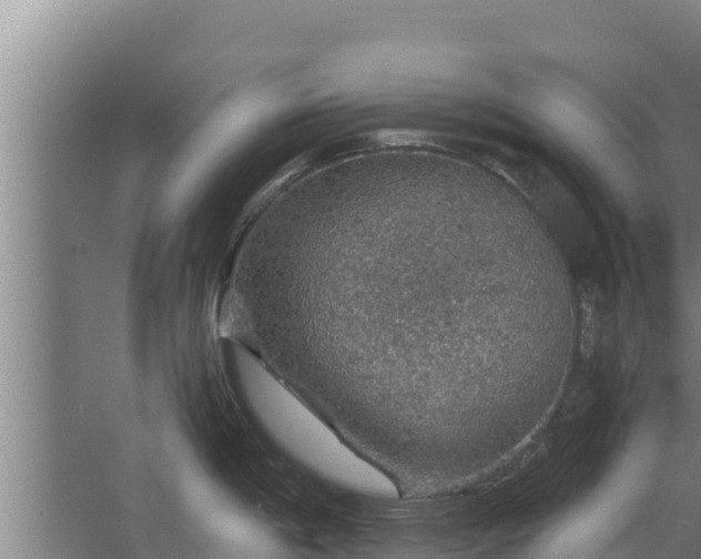 X0000067461198200604142316