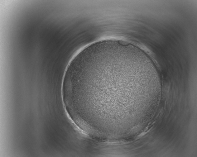 X0000067461199200604142316