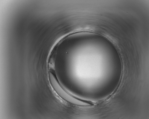 X0000067461200200604142316