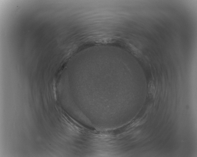 X0000067461202200604142316