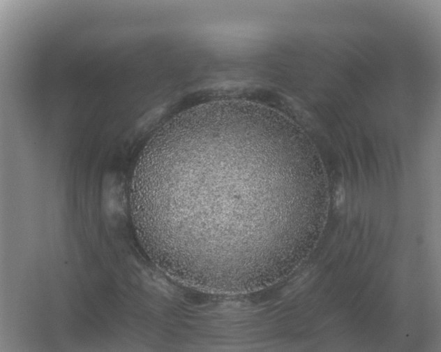 X0000067461204200604142316