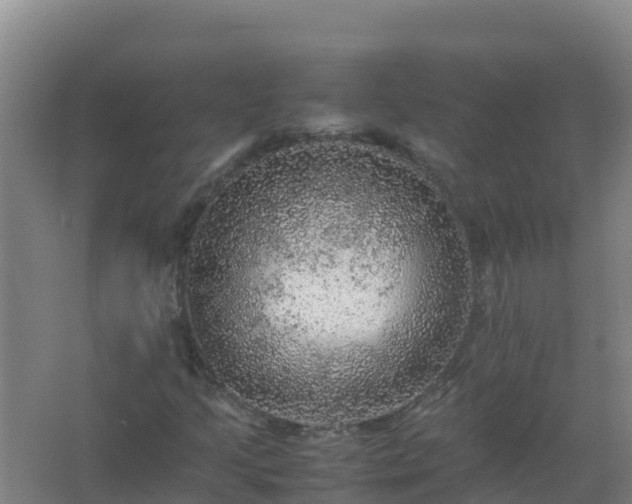 X0000067461205200604142316