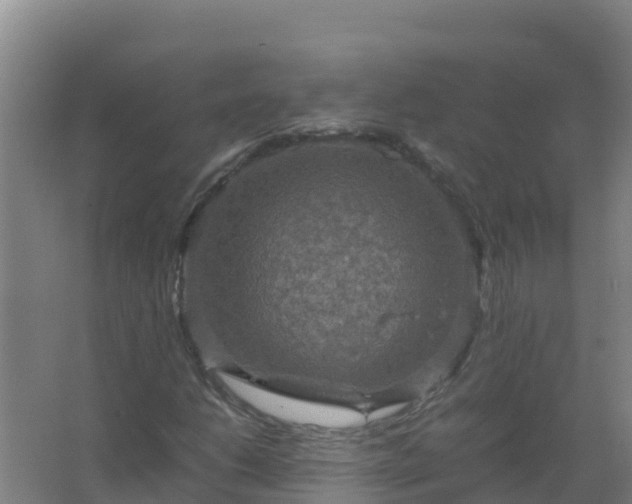 X0000067461206200604142316