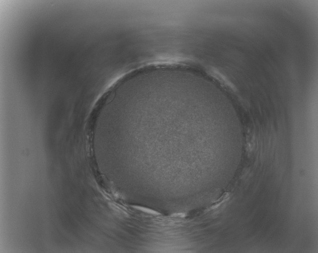 X0000067461208200604142316