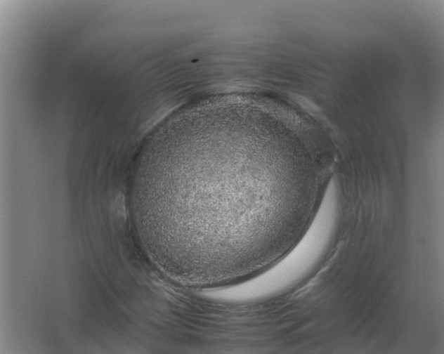 X0000067461209200604142316