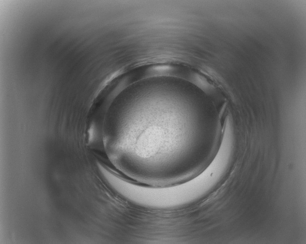 X0000067461210200604142316