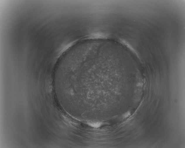 X0000067461213200604142316