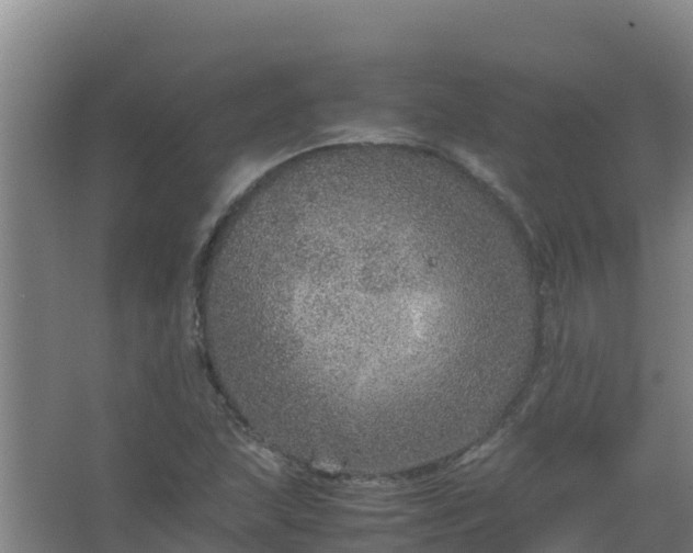 X0000067461215200604142316