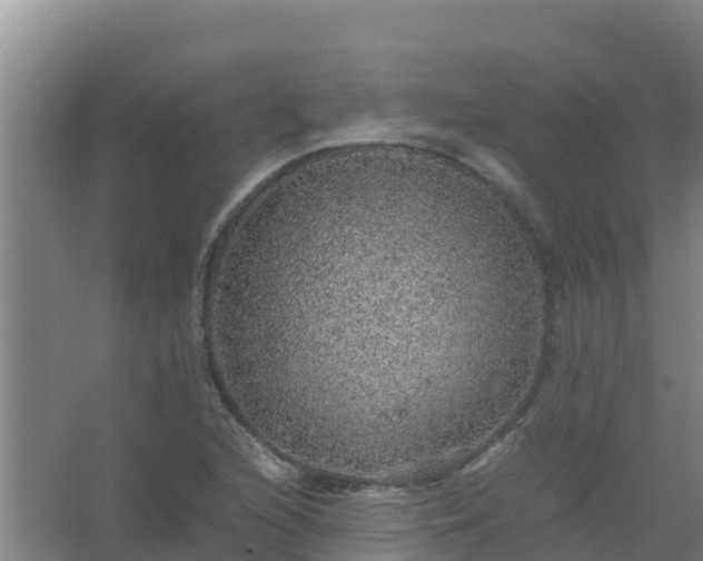 X0000067461216200604142316