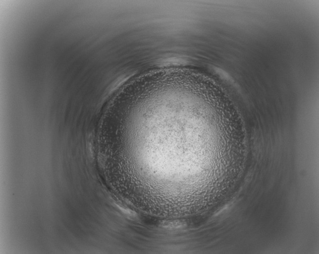 X0000067461217200604142316