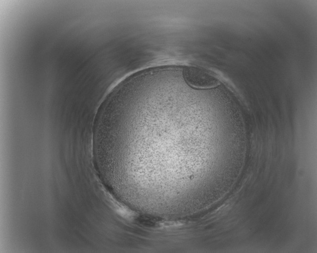 X0000067461220200604142316