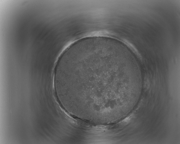 X0000067461224200604142316