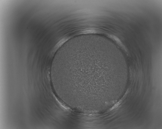 X0000067461225200604142316