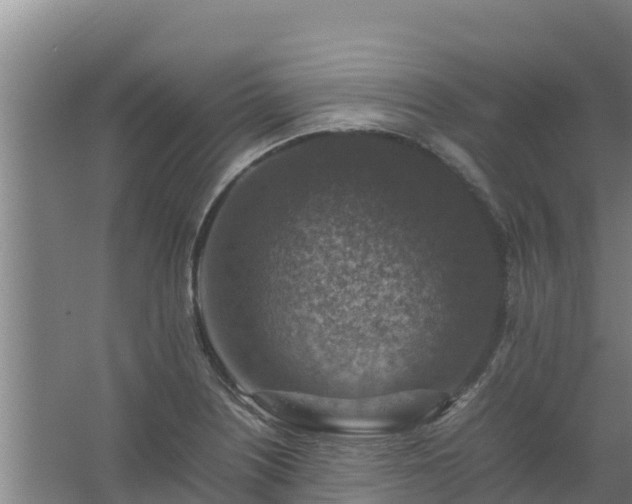 X0000067461226200604142316