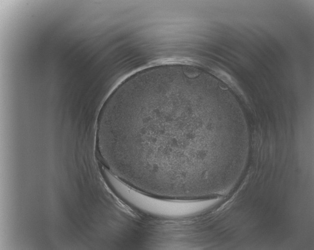 X0000067461228200604142316