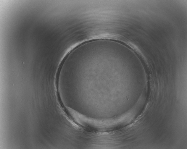 X0000067461230200604142316