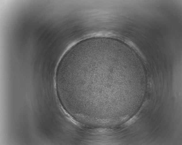 X0000067461232200604142316