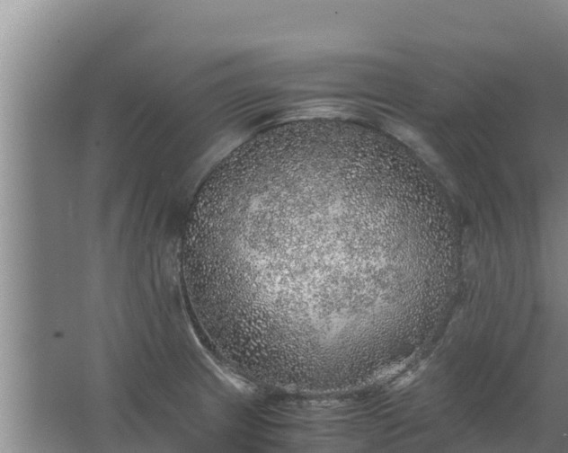 X0000067461233200604142316