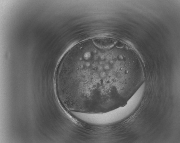 X0000067461235200604142316