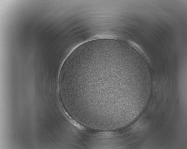 X0000067461236200604142316