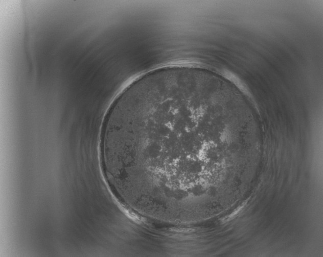 X0000067461237200604142316