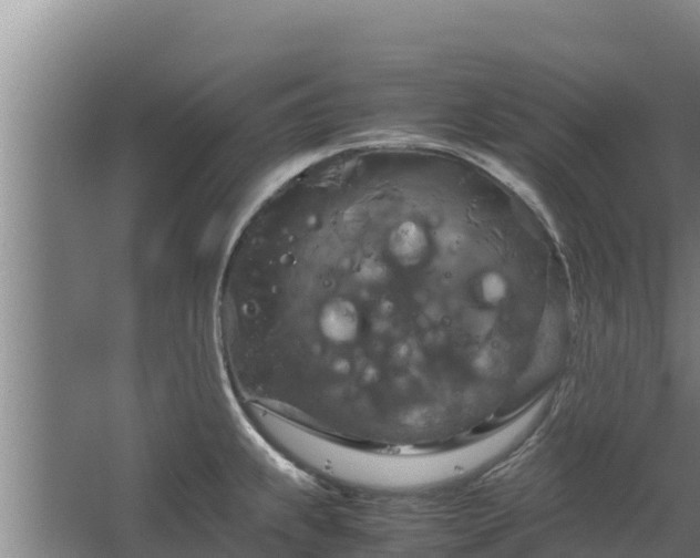 X0000067461239200604142316