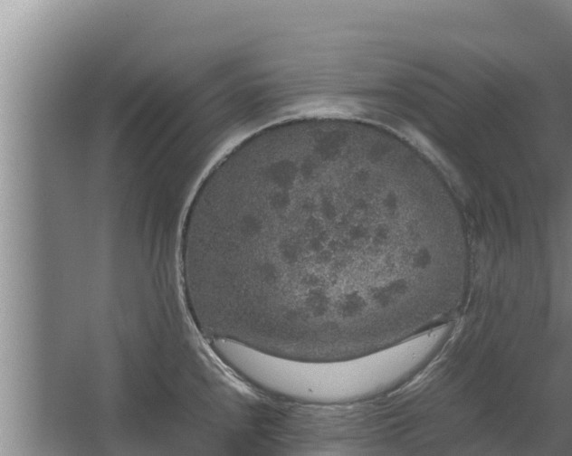 X0000067461240200604142316