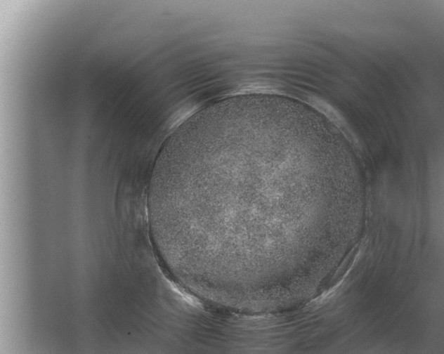 X0000067461241200604142316