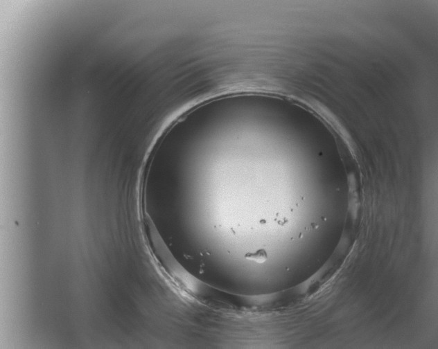 X0000067461246200604142316