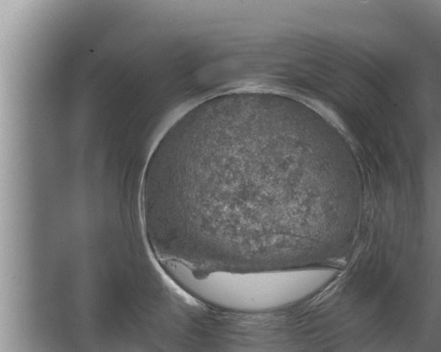 X0000067461247200604142316