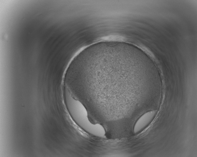 X0000067461248200604142316