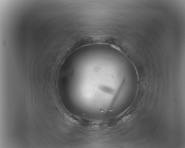 X0000067461249200604142316