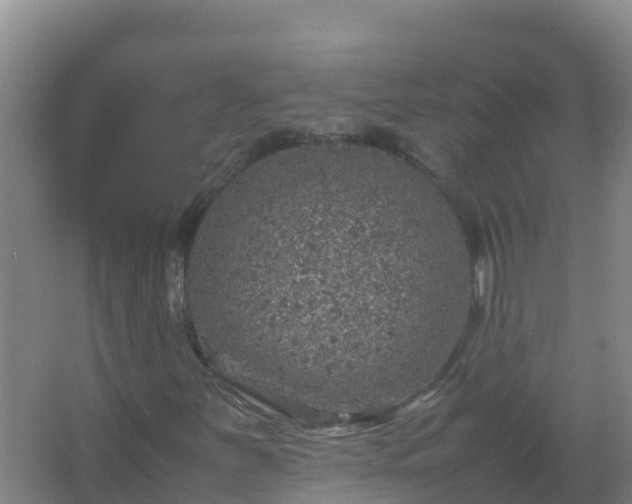 X0000067461251200604142316