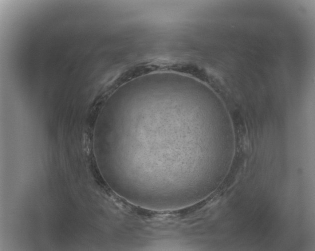 X0000067461253200604142316