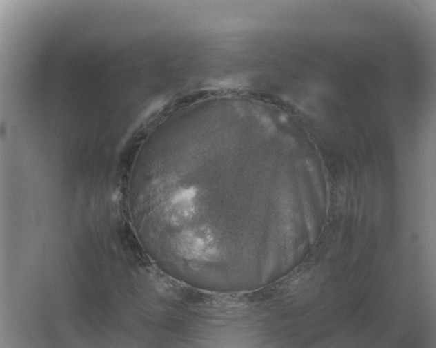 X0000067461254200604142315