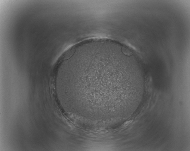 X0000067461255200604142315