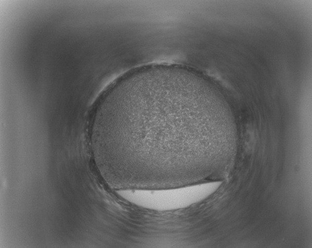 X0000067461256200604142315