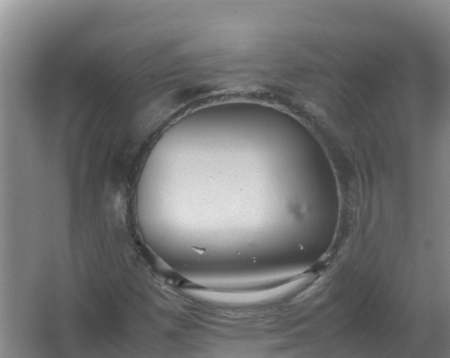 X0000067461257200604142315