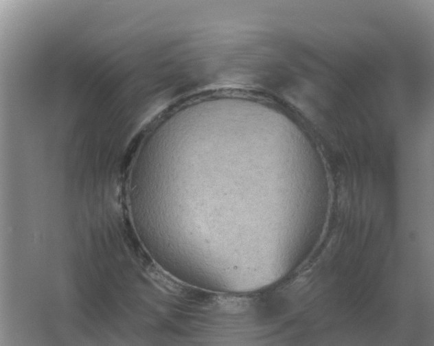 X0000067461258200604142315