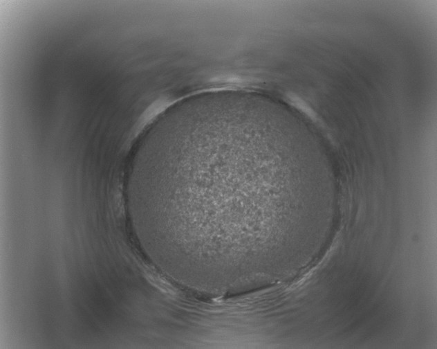 X0000067461259200604142315