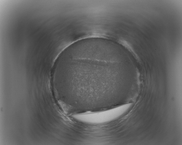 X0000067461260200604142315