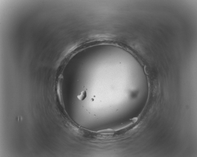 X0000067461261200604142315