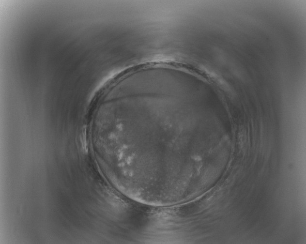 X0000067461262200604142315