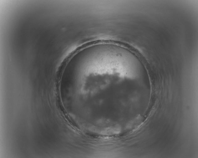 X0000067461263200604142315