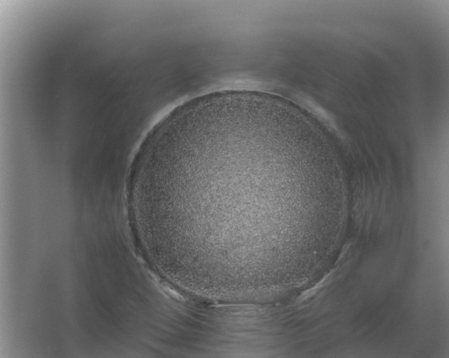 X0000067461264200604142315