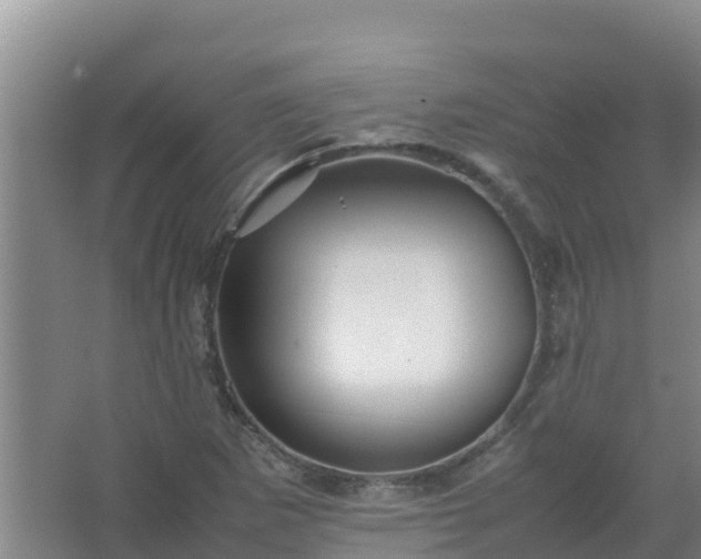 X0000067461265200604142315