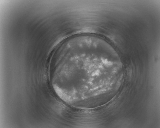 X0000067461266200604142315