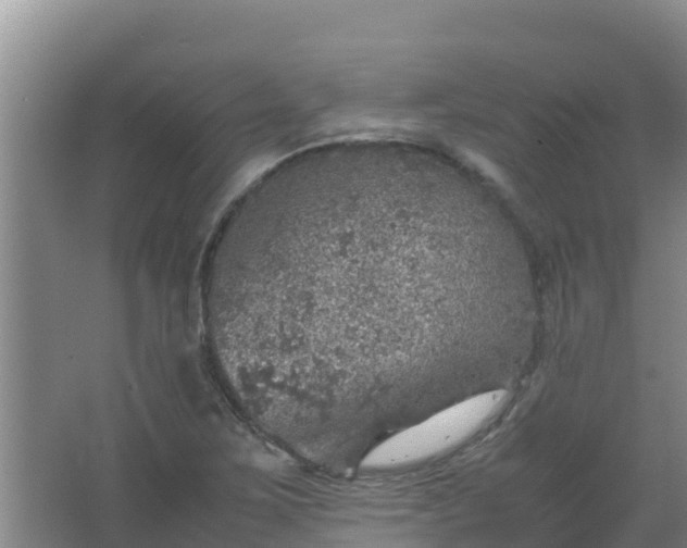 X0000067461267200604142315