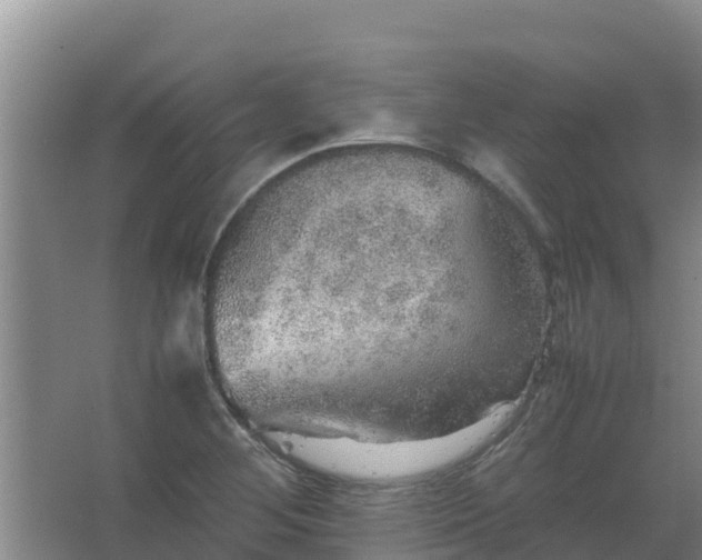 X0000067461268200604142315