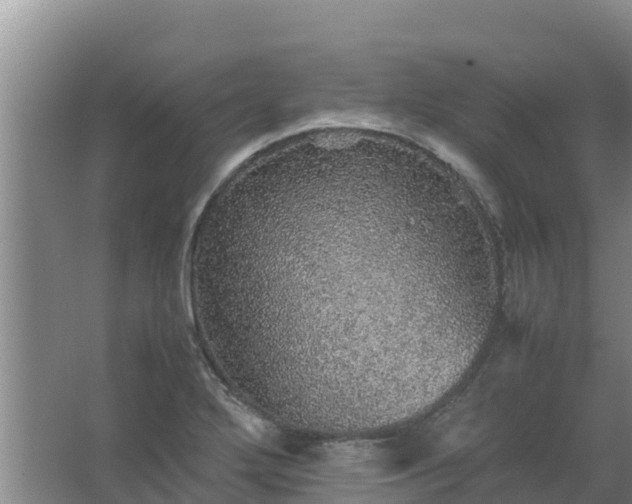 X0000067461272200604142315